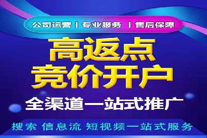 案例研究：关键词竞价排名实战经验